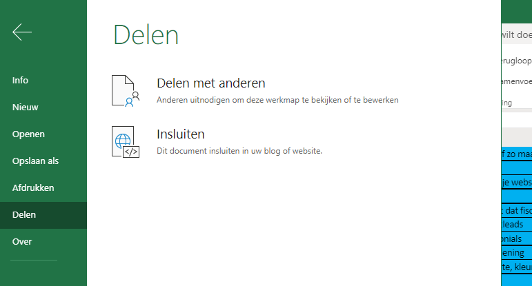 Blog - Een spreadsheet opnemen in je website - 2.png