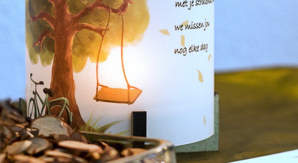 model-hoog_illustratie-boom_schommel_slider-970x531.jpeg model-hoog_illustratie-boom_schommel_slider-970x531.jpeg