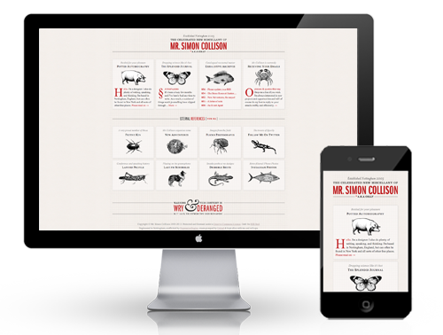 responsive_1.png responsive_1.png